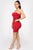 Kiki Mini Dress - Burgundy