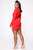 Decision Maker Mini Dress - Red