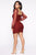 Top Candidate Mini Dress - Wine