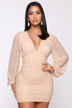 Just Like Me Mesh Ruched Mini Dress - Taupe