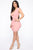 Deep In My Feels Mini Dress - Blush